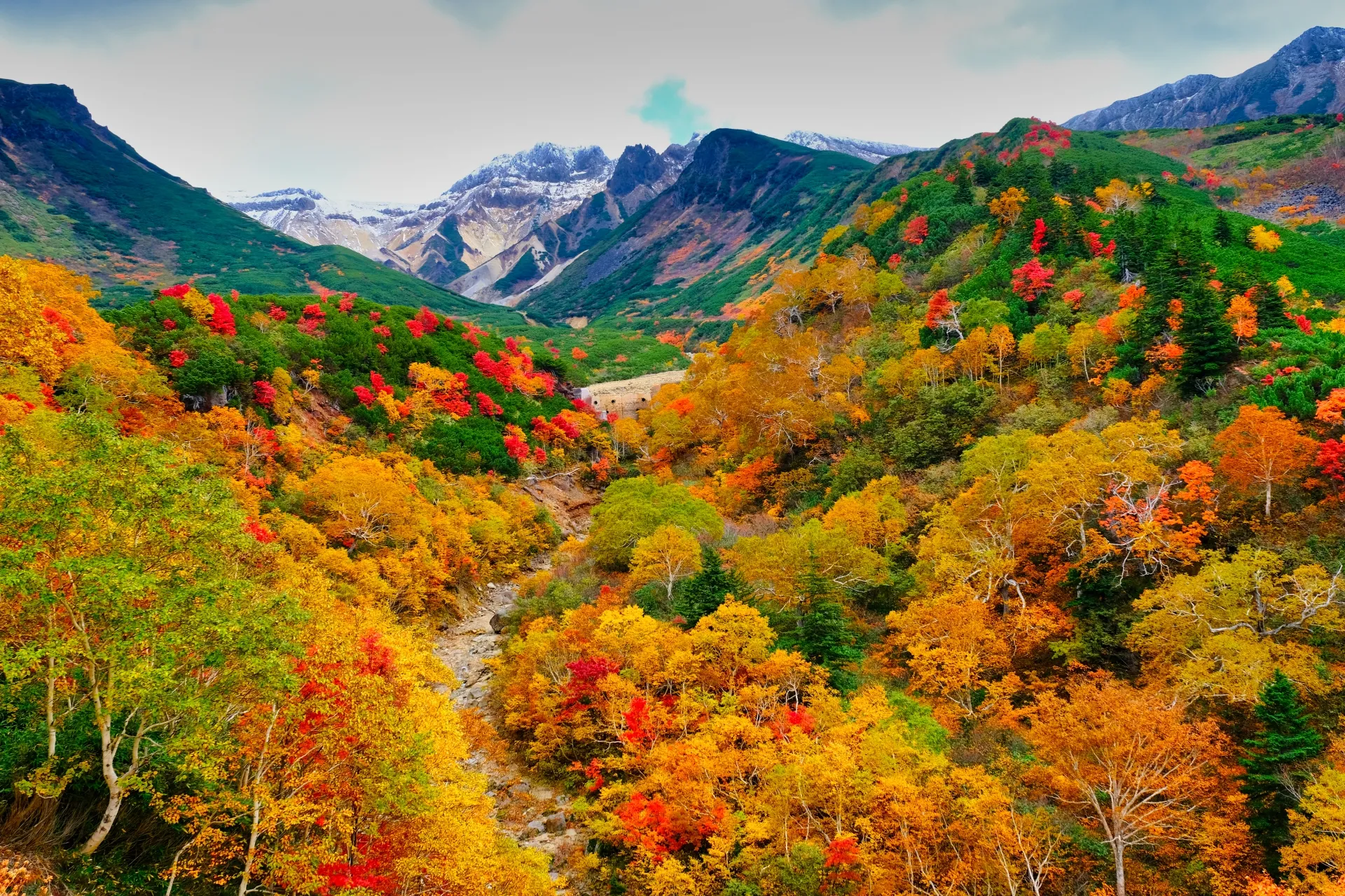 赤や黄色に色づいた木々が山の斜面を彩る、鮮やかな紅葉の風景写真