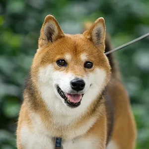 お客様からの嬉しいレビュー