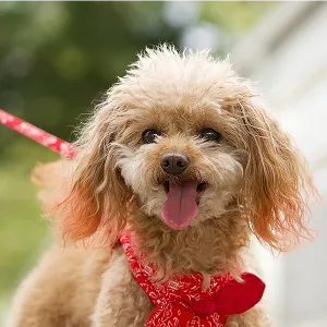 お客様からの嬉しいレビュー