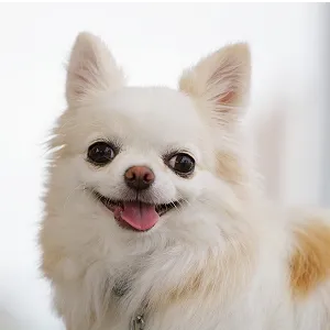 お客様からの嬉しいレビュー